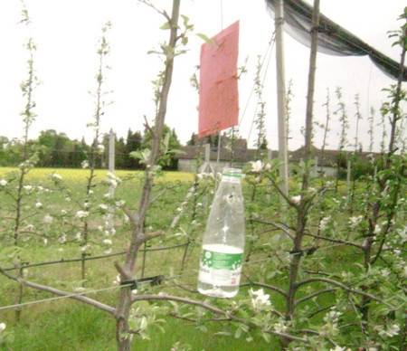 Potkornjak - koje su mjere zaštite i kada imaju svrhu