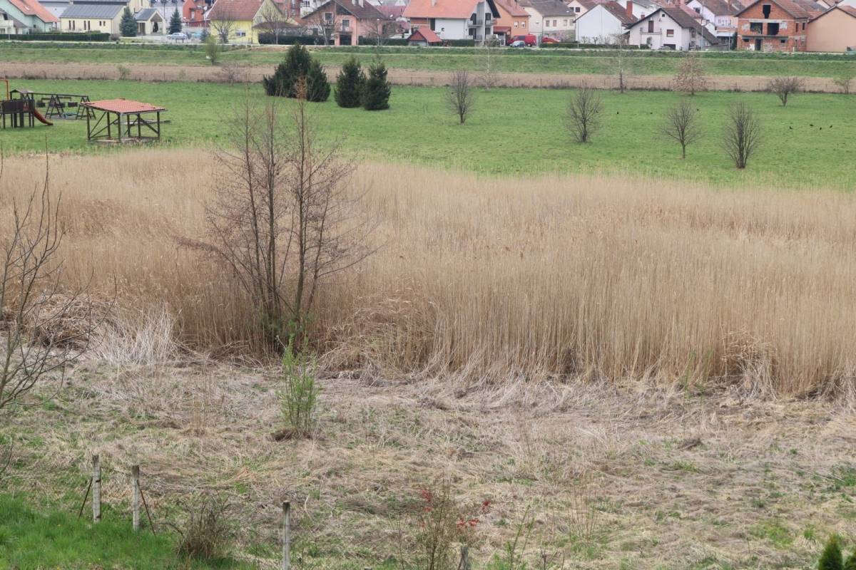 Mještani Ulice Hrvatskih branitelja: ʺGrad Požega svojim sugrađanima uzgaja lisice i zmije!ʺ