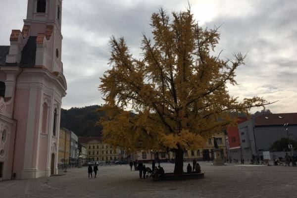 Požega je treći najsigurniji grad u Hrvatskoj