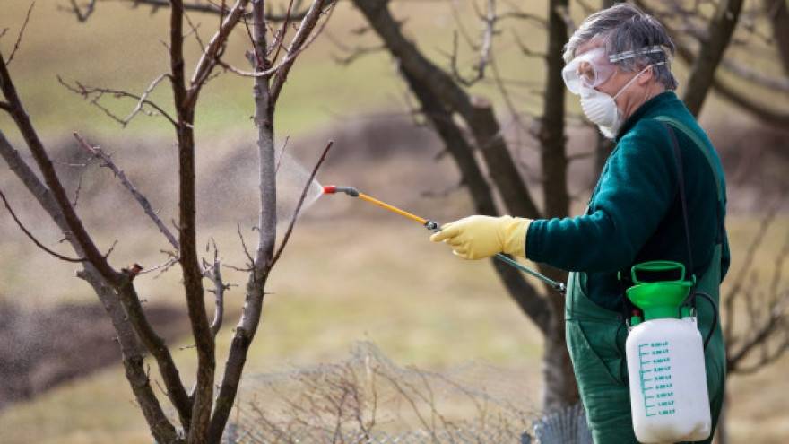 Preporuke za zaštitu voća