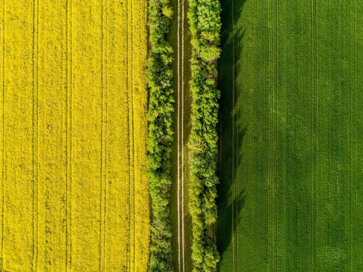 Počinje veliki popis poljoprivrede na selu