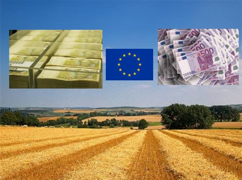 Tvrtke u Požeško-slavonskoj županiji koje su izvukle najviše novca iz Projekta Slavonija, Baranja i Srijem