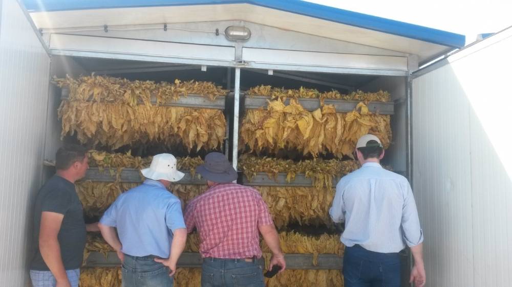 Hrvatski duhani kreću u ugovaranje nove sezone sjetve duhana