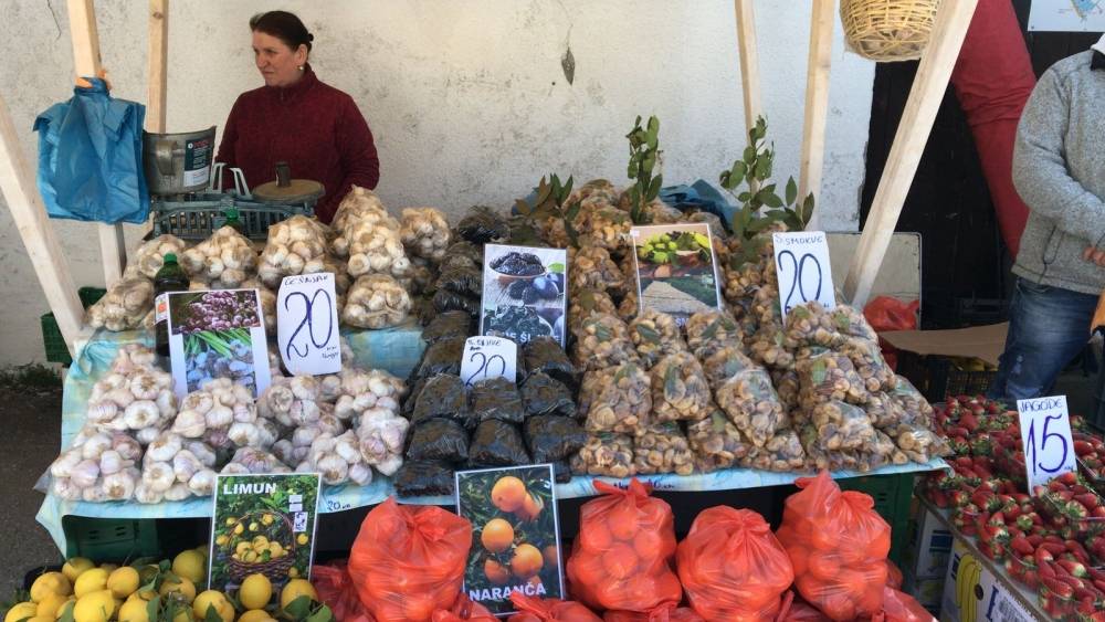 Bjelovarski sajam - Gudovac 6.4.2018.