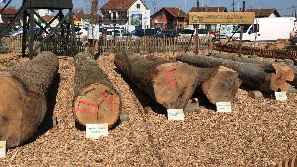 Bjelovarski sajam - Gudovac 6.4.2018.