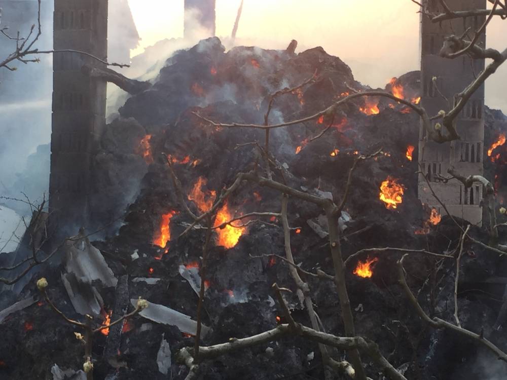 Veliki požar u Kaptolu, na terenu 20 vatrogasaca s pet vozila