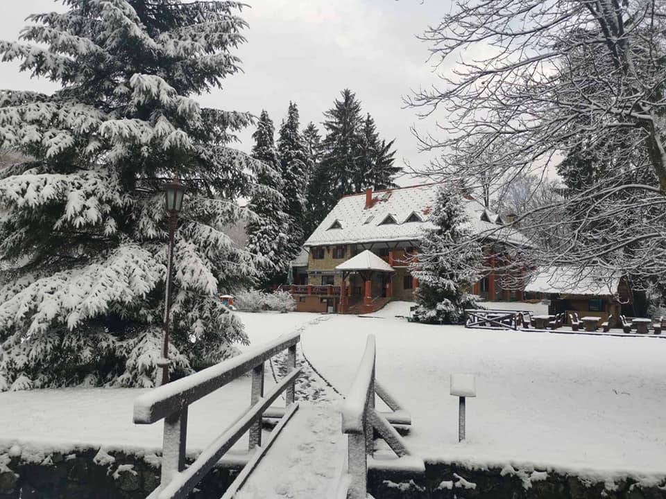 Prava zimska idila na Jankovcu