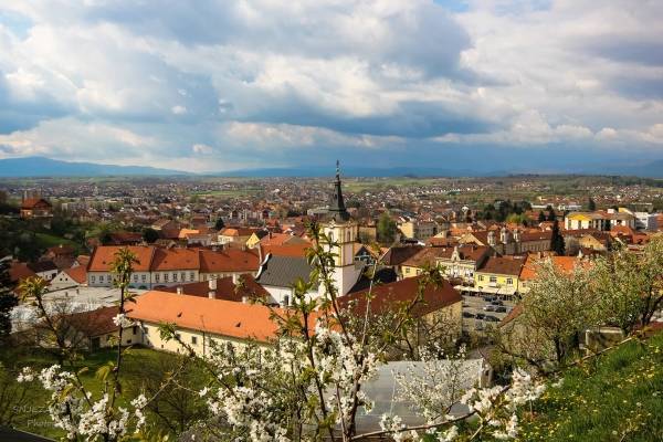 Naša županija druga na ljestvici nenaseljenih, građani se rapidno iseljavaju iz svih gradova i općina u Požeštini
