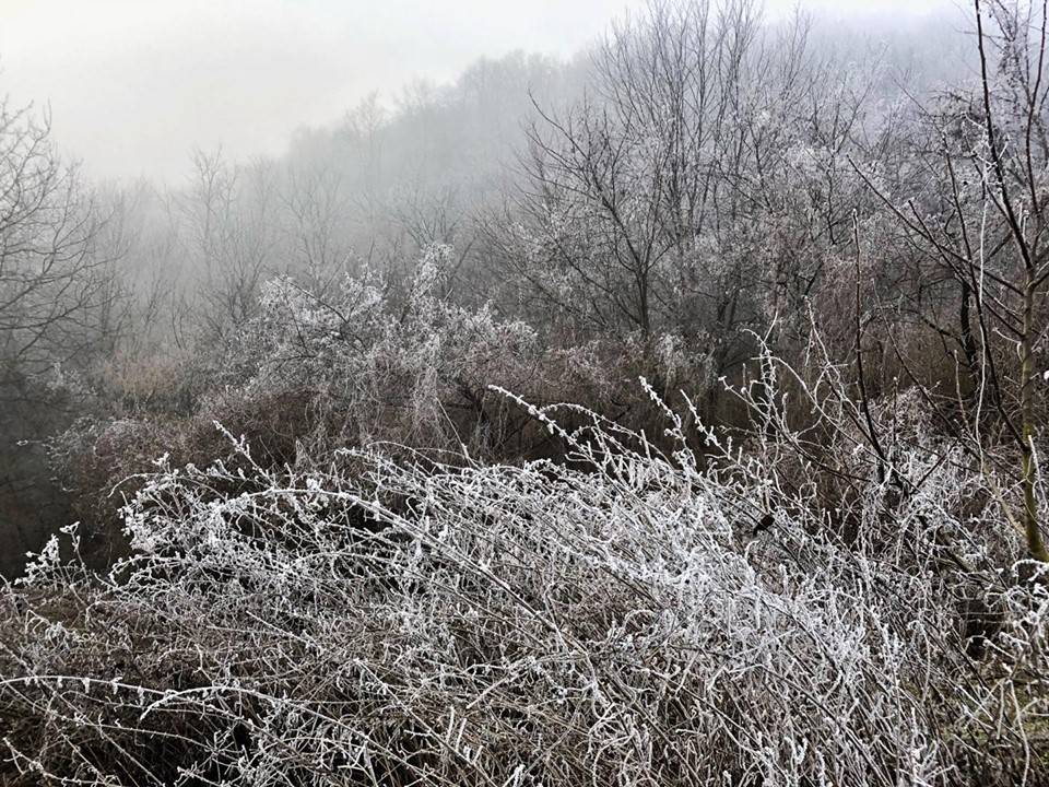 Siječanj nam je dosad podario puno sunčanih dana, ali pred nama su hladni dani i moguće snježne pahulje
