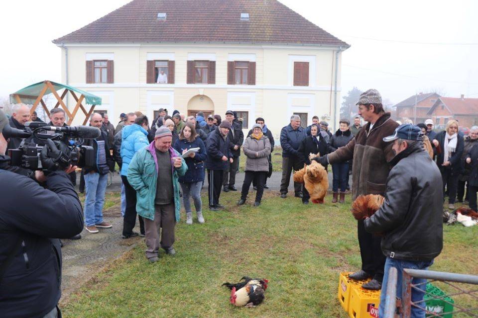Antunovo u Gaju proslavljeno uz tradicionalni blagoslov i licitaciju domaćih životinja