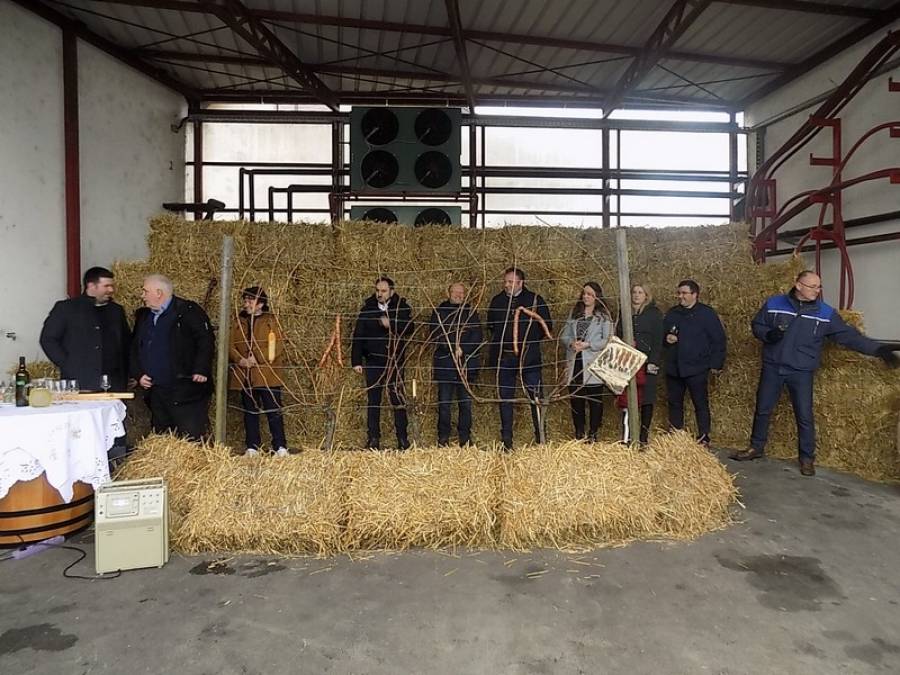 Obitelj Markota iz Pleternice proslavila Vincelovo u svojoj vinariji