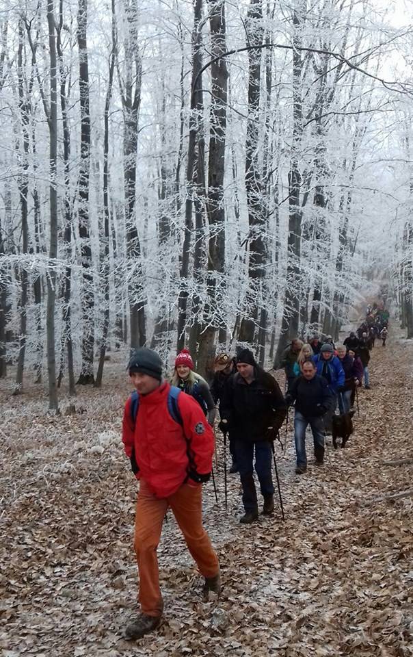 Tradicionalni uspon na najviši vrh Požeške gore – Kapavac (618 mnv)