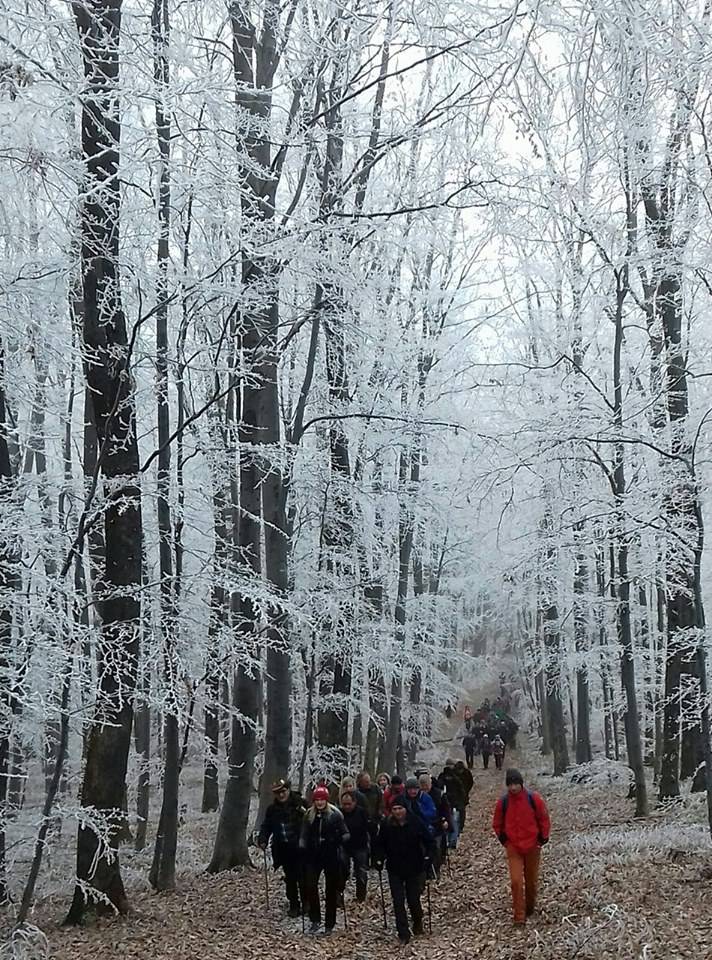 Tradicionalni uspon na najviši vrh Požeške gore – Kapavac (618 mnv)
