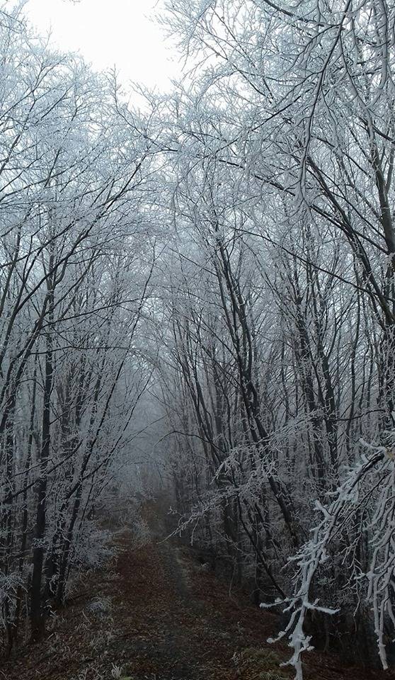 Tradicionalni uspon na najviši vrh Požeške gore – Kapavac (618 mnv)