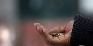 U Požegi 28-godišnji muškarac prijavljen za prosjačenje