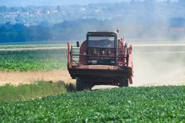 Proljetna sjetva: očekuje se povećanje površina pod kukuruzom i šećernom repom?