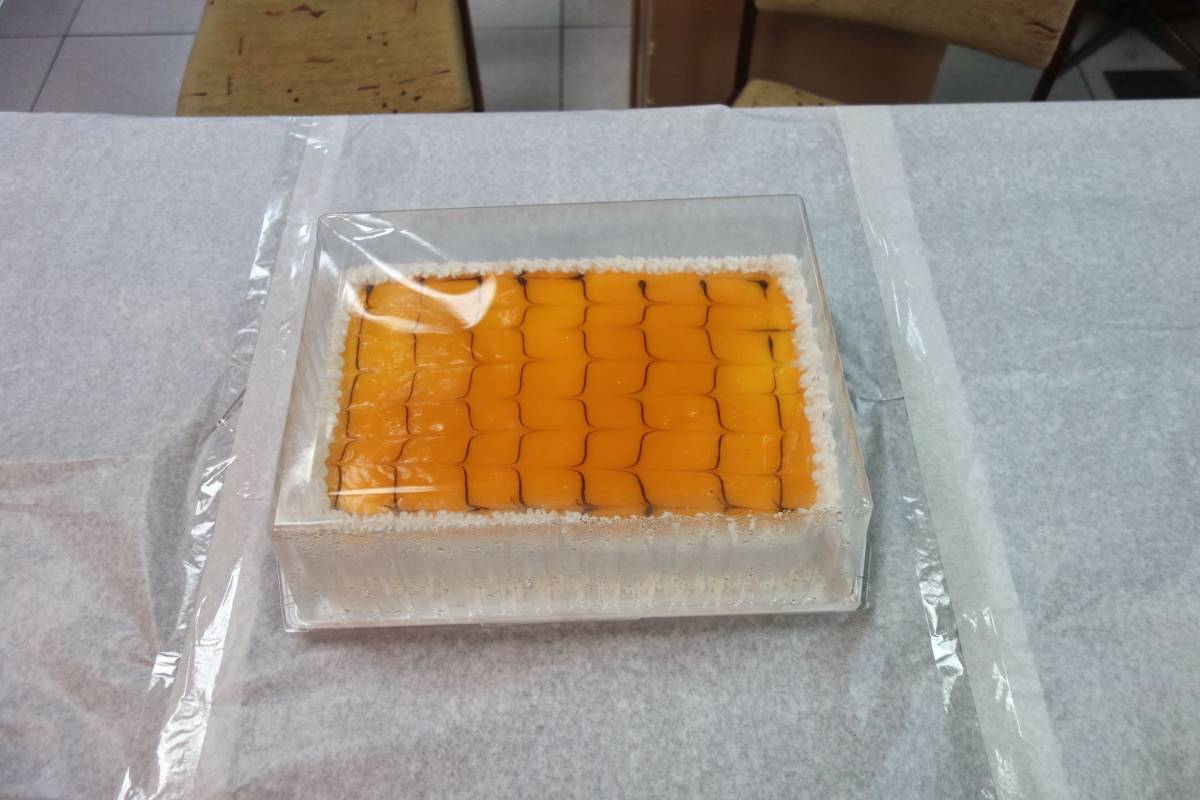 Završila planinarska škola u HPD Gojzerica Požega