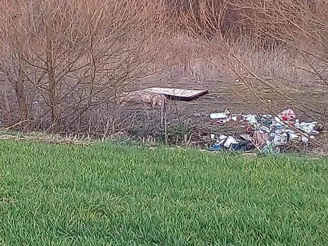 Netko je uz poljski put doslovno bacio uginulu svinju