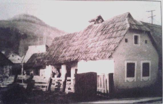 Požega u doba epidemije 1739. godine, 2. dio