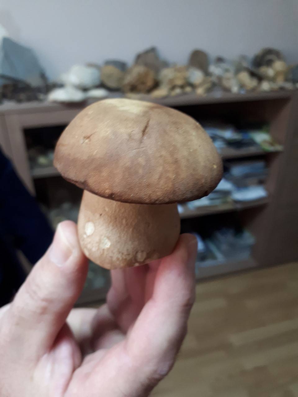 Vladimir Pejanović ubrao Prvi Požeški varganj 2020. god.