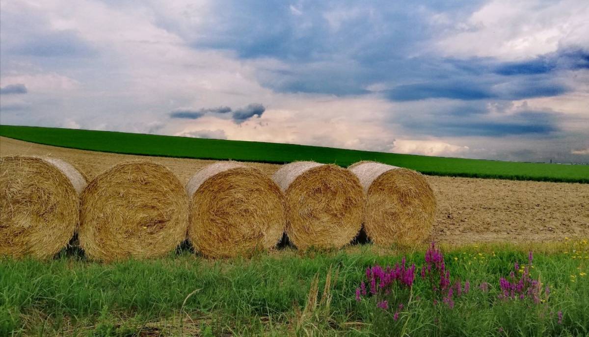 U natječaju ʺVolim svoju županijuʺ najviše lajkova prikupila fotografija iz naše županije!