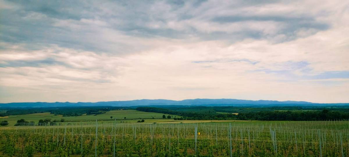 Danas pretežno sunčano uz povremenu naoblaku
