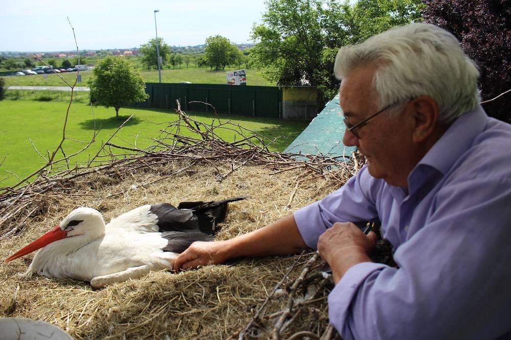 ʺKao da mi se došao ispričati jer je pogriješio što ju je napustioʺ