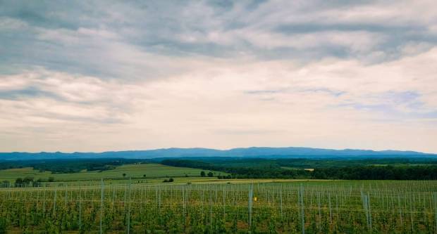 U prvom dijelu dana promjenljivo oblačno, a zatim jače naoblačenje
