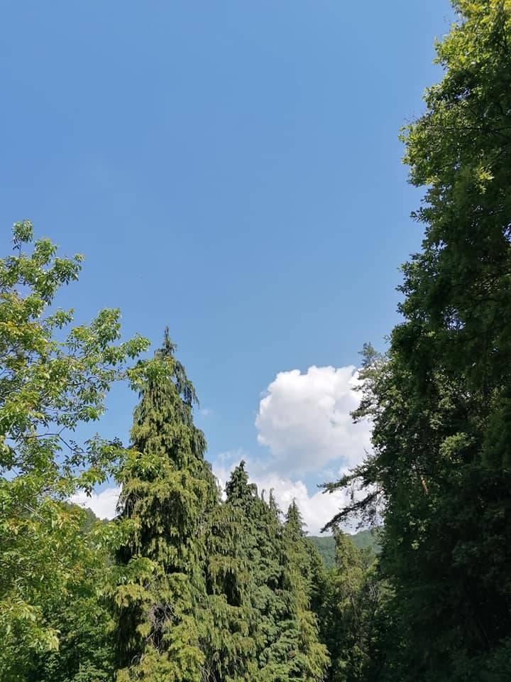 Radna akcija na planinarskim objektima Društva...