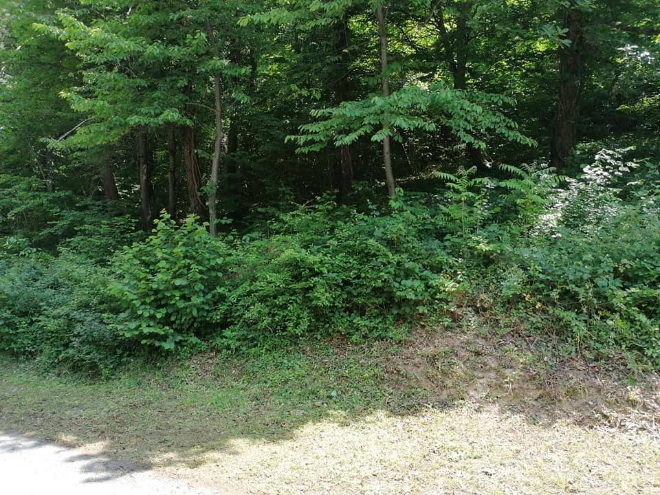 Radna akcija na planinarskim objektima Društva...