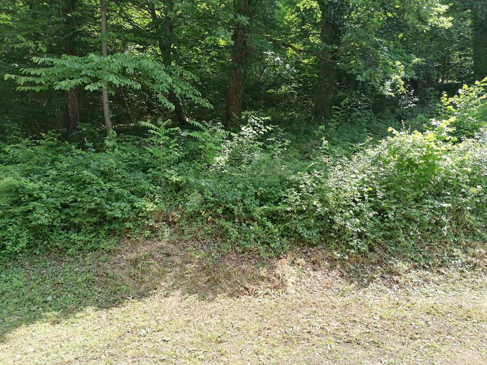 Radna akcija na planinarskim objektima Društva...