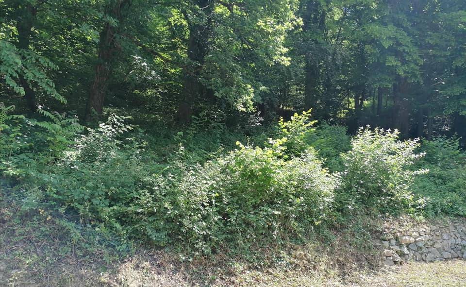 Radna akcija na planinarskim objektima Društva...