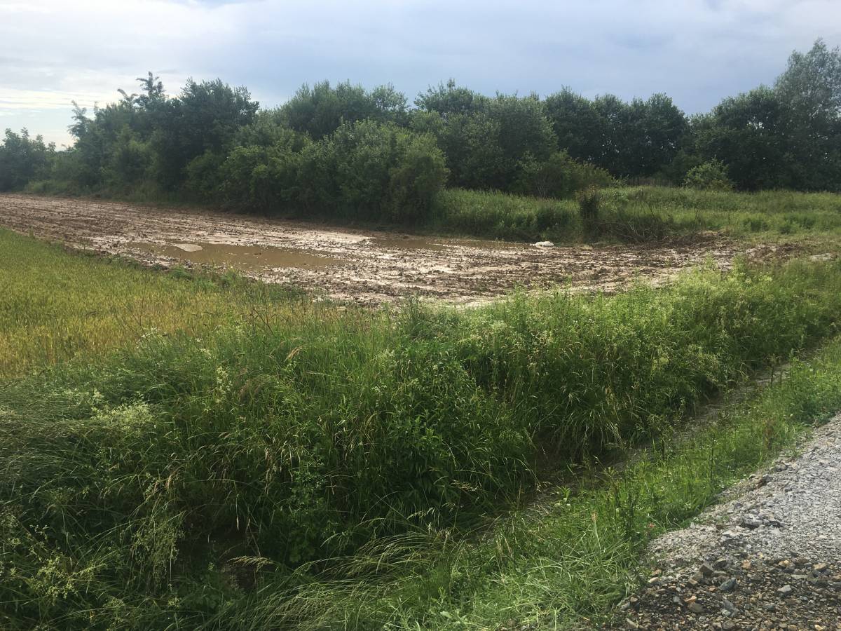 Mještani Bankovaca i Marindvora: ʺDa zaduženi za odvodne kanale rade svoj posao ne bi nam kuće plivale sa svakom kišomʺ