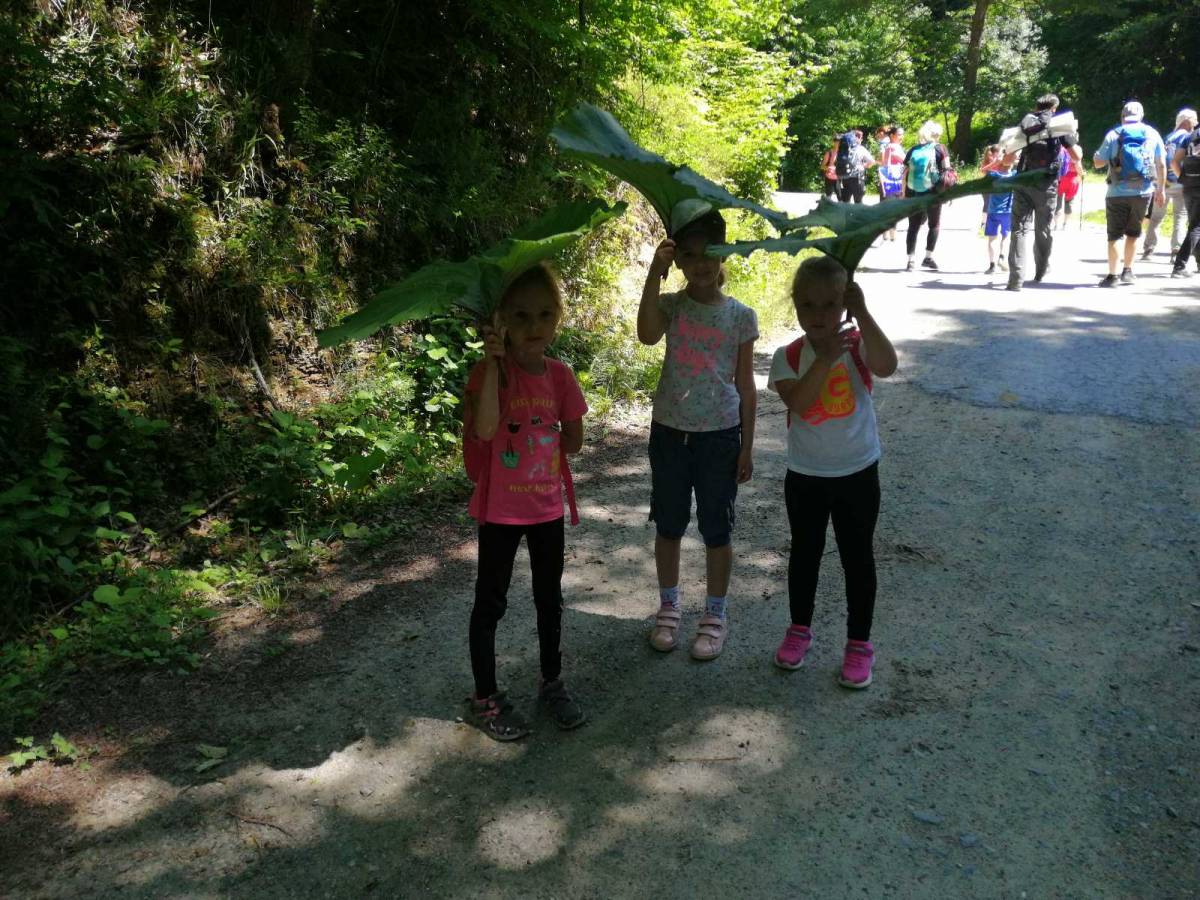 Igre u prirodi za djecu – ʼʼJučer smo uživali na Papuku!ʼʼ