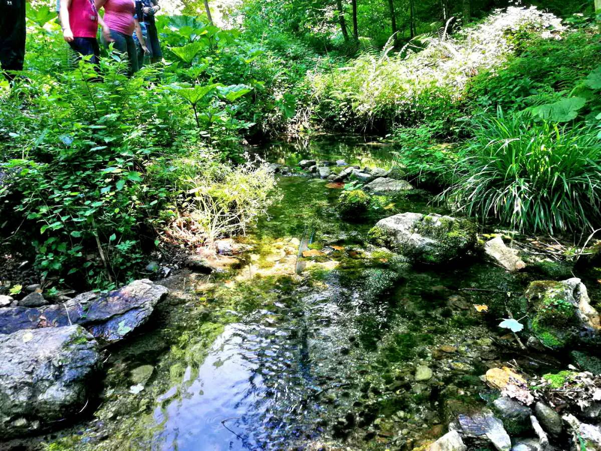 Igre u prirodi za djecu – ʼʼJučer smo uživali na Papuku!ʼʼ