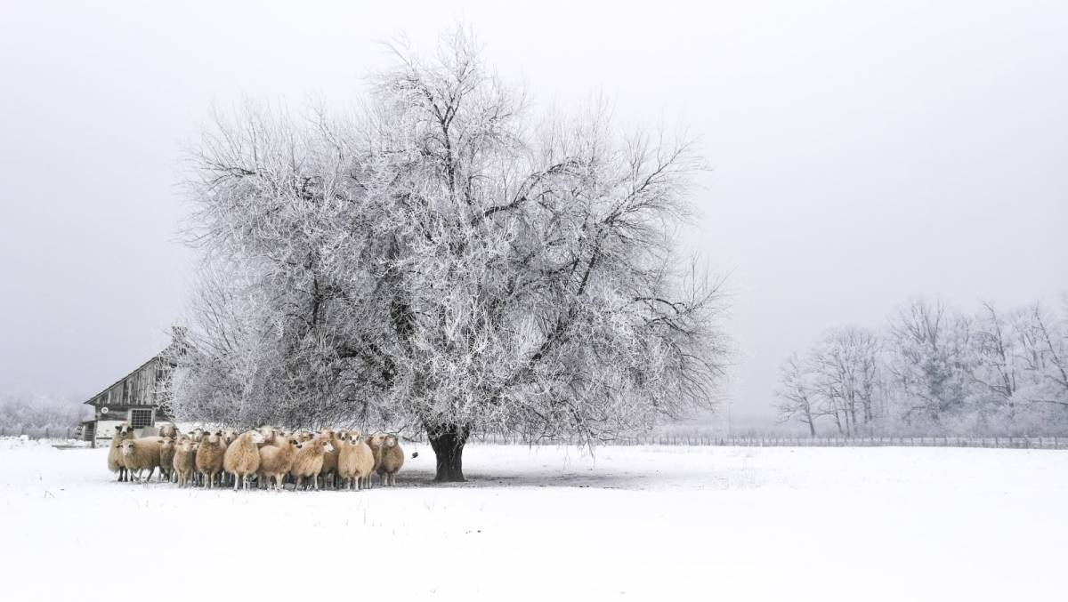 Fotka Ivice Pavičića među najboljima u foto-natječaju Volim svoju županiju 2020. godine