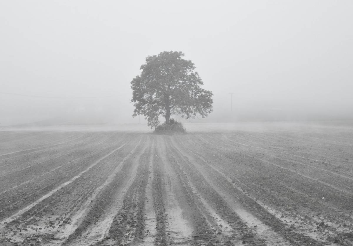 Fotka Ivice Pavičića među najboljima u foto-natječaju Volim svoju županiju 2020. godine