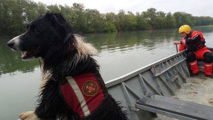 72-godišnji Vidovčanin u subotu pecao i upao u Savu kod Jasenovca, potraga se nastavlja i danas