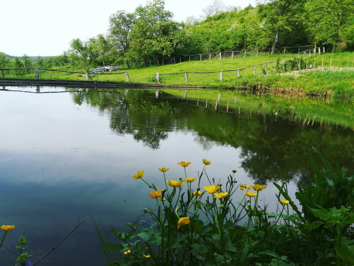 Fotografija Željke Ivanović iz Završja ʺSlavonska poljaʺ prikupila najviše online glasova na natječaju ʺVolim svoju županijuʺ
