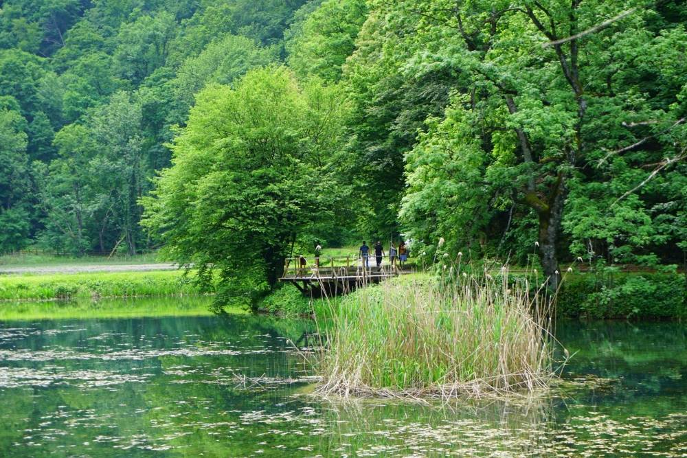 Uvijek je živo na Jankovcu