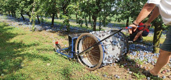 Slavonac Josip sam napravio stroj za skupljanje šljiva