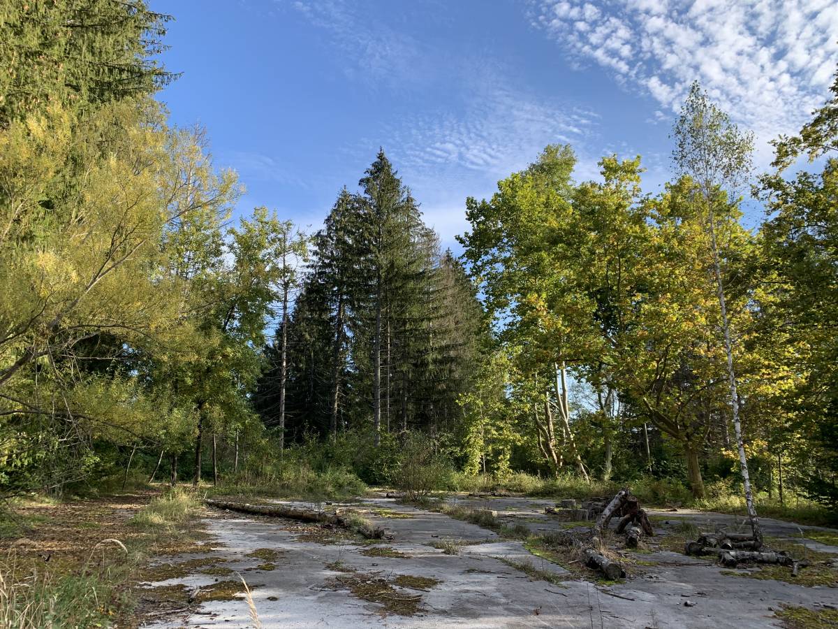 Kompleks odmaralište Zvečevo danas