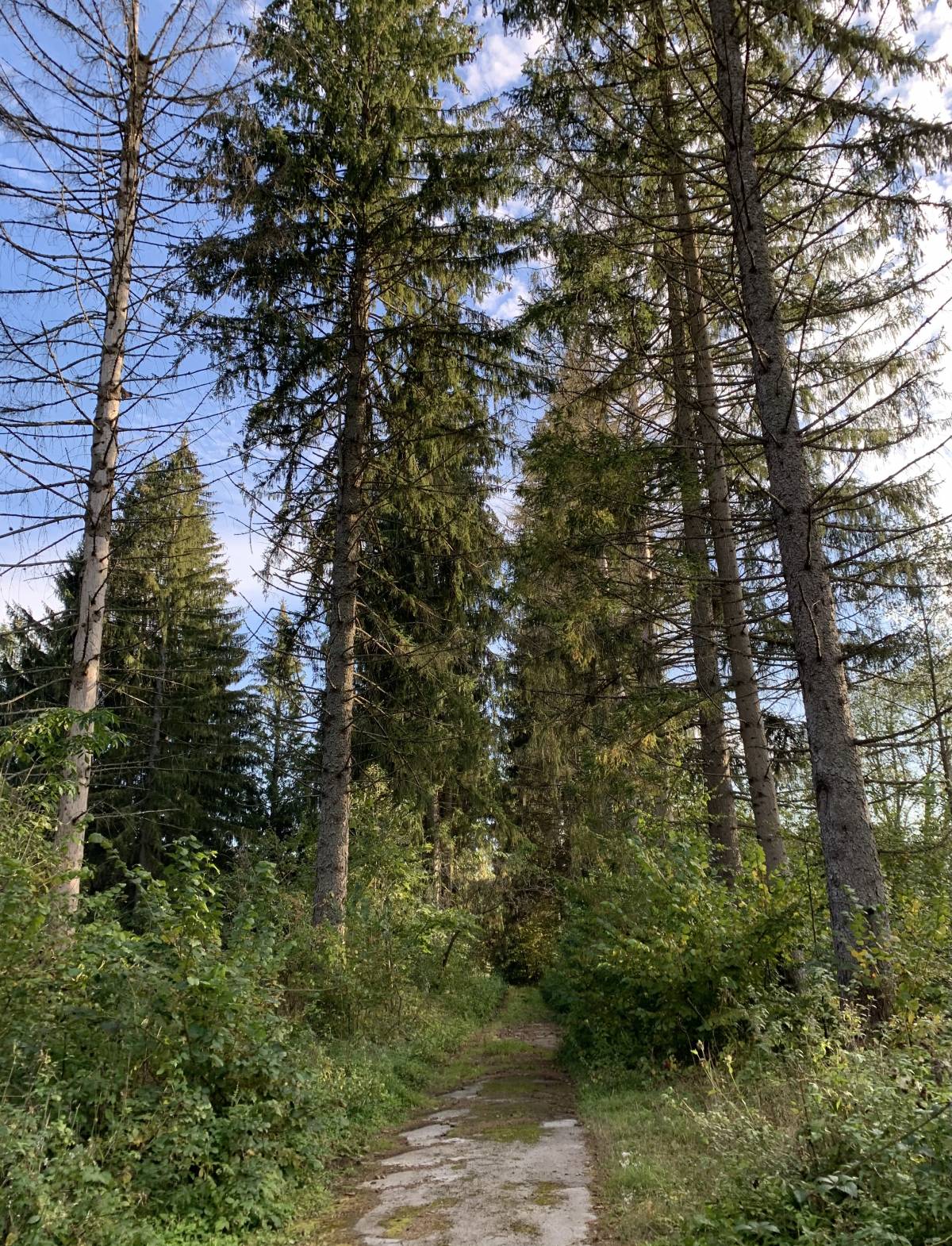 Kompleks odmaralište Zvečevo danas