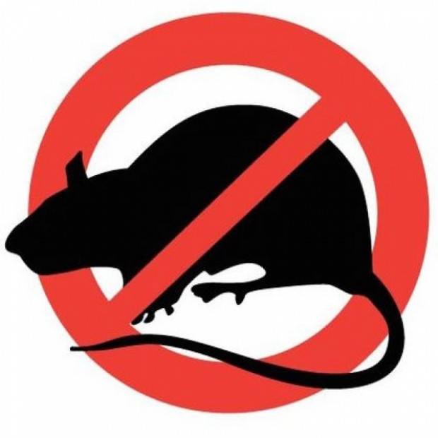 U Lipiku jesenska sustavna deratizacija