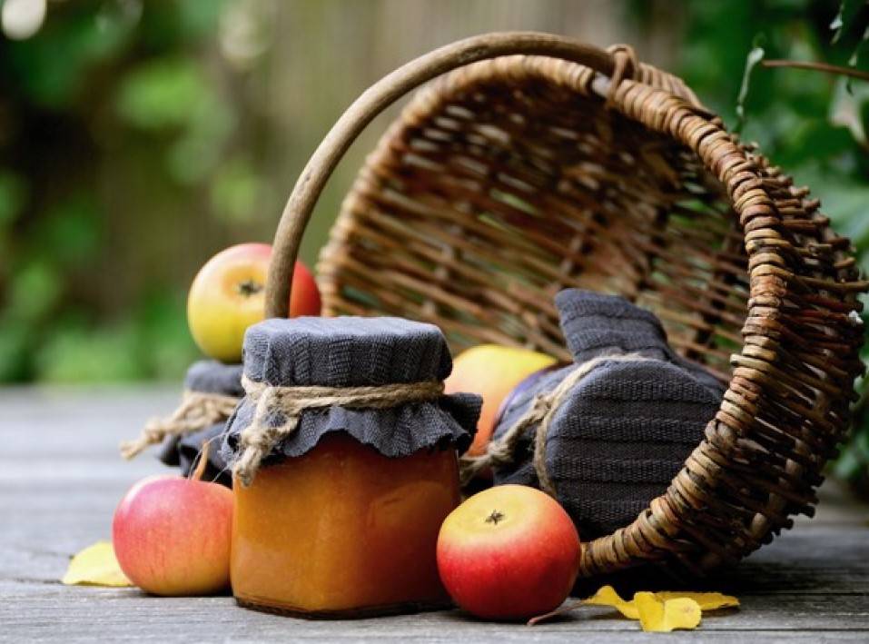 Izvanredna privremena potpora poljoprivrednicima i MSP-ovima koji su posebno pogođeni krizom uzrokovanom bolešću COVID-19