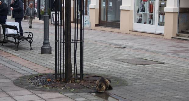 Prvi tjedan malog lockdowna, Požega 5.12.2020.