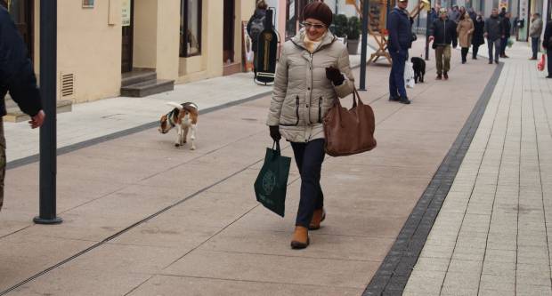 Subotnja šetnja Požegom, 6.02.2021.