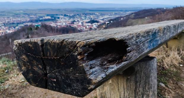 FOTO: Šetnja Sokolovcem i Grgurevskim putom, 13.3.2021.