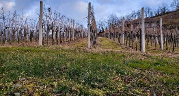 FOTO: Šetnja Sokolovcem i Grgurevskim putom, 13.3.2021.