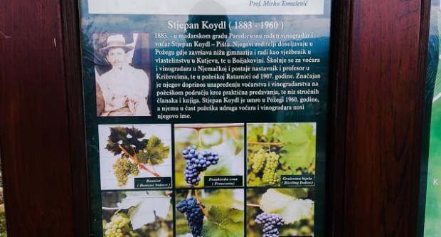 FOTO: Šetnja Sokolovcem i Grgurevskim putom, 13.3.2021.